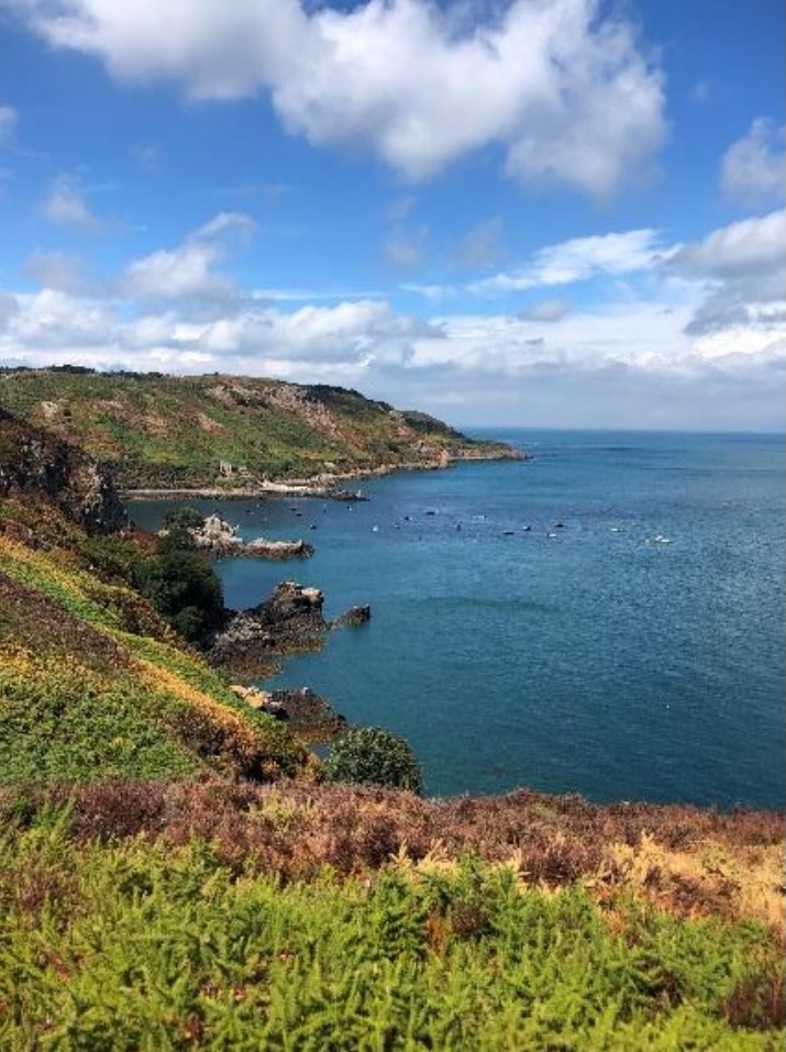 Photograph of cliffs overlooking the sea on a summer day